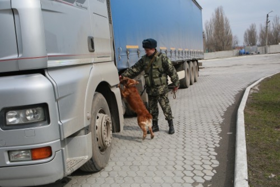 Пятеро сирийцев и один гражданин Йемена пытались попасть на Одесщину в прицепе грузовика