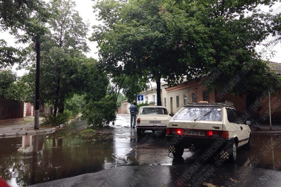 Получасовая буря успела повалить деревья в Измаиле Одесской области (фото)