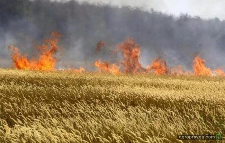 Неизвестные поджигают поля в Одесской области