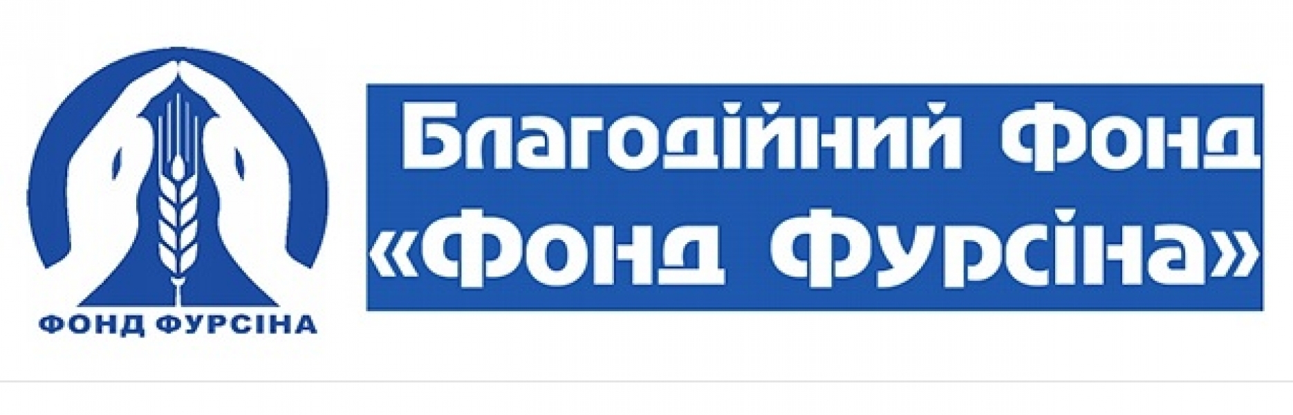 Фонд Фурсина помогает ремонтировать гимназию в Любашевке Одесской области