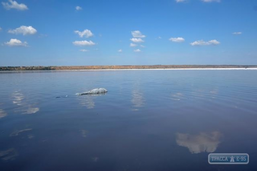 Легкомоторный самолет приземлился на воду Куяльницкого лимана в Одесской области, уткнувшись в ил