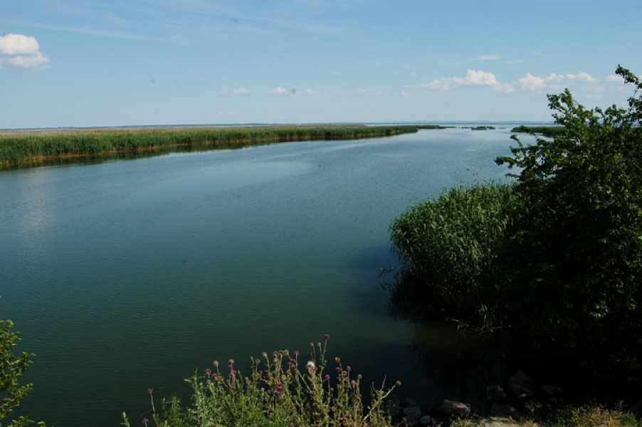 Карьер 19 км дунай фото