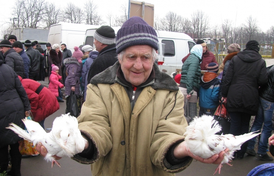 Региональная выставка птиц прошла на севере Одесской области (фото)