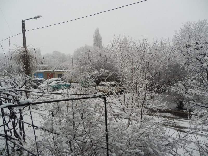 Снег засыпал северные районы Одесской области