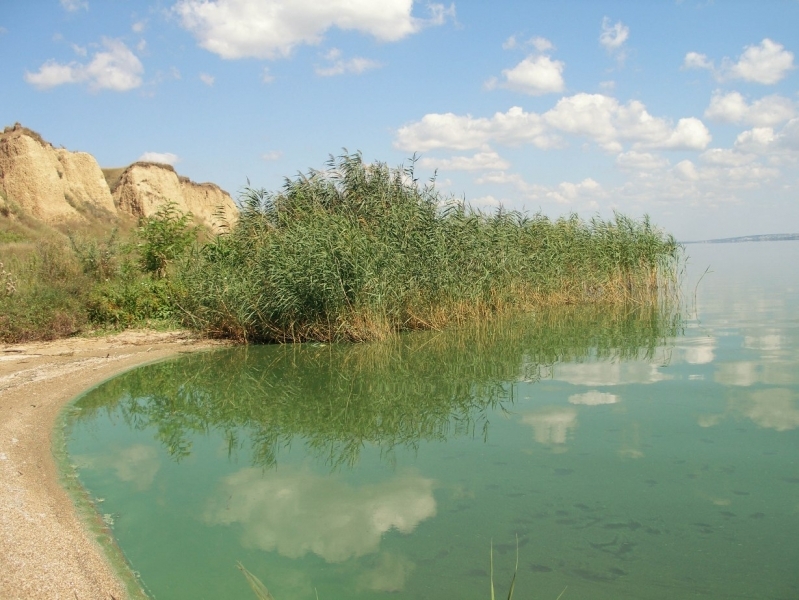 Жители Болграда обнаружили труп одного из пропавших рыбаков в озере Ялпуг