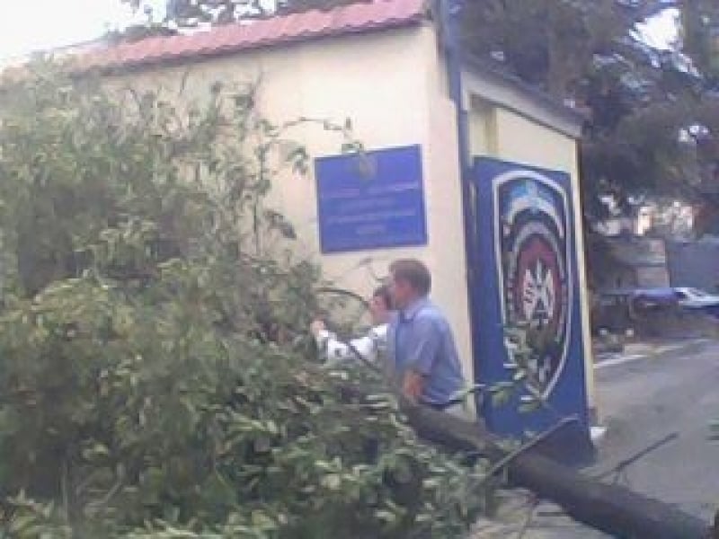 Из-за шквального ветра деревья в Одессе падают на троллейбусные провода и отделение милиции