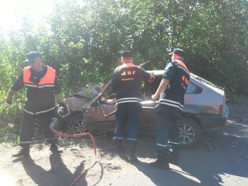 Автомобиль врезался в дерево на севере Одесской области, водитель погиб (фото)