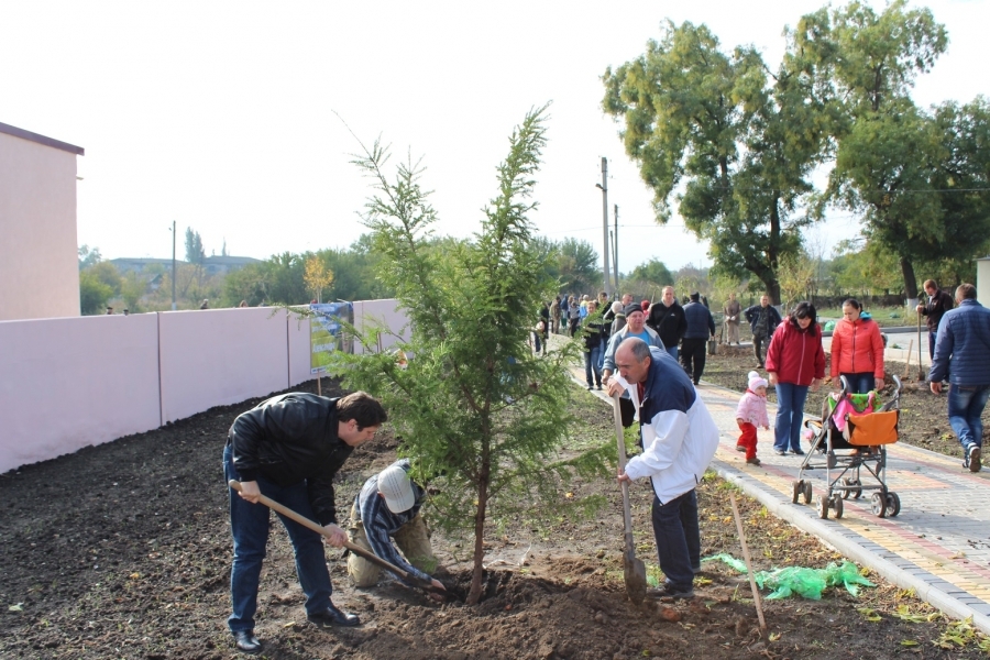 Жители поселка в Измаильском районе засадили деревьями новый парк