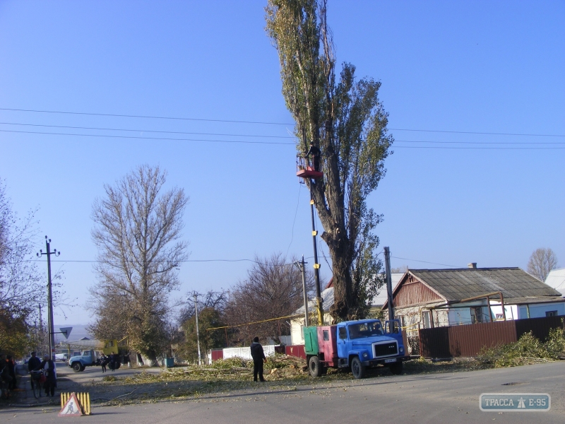 Коммунальщики срубают полувековые тополя во Фрунзовке