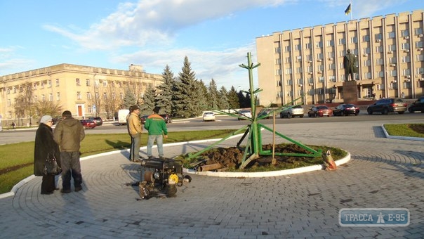 Установка главной новогодней елки началась в Измаиле