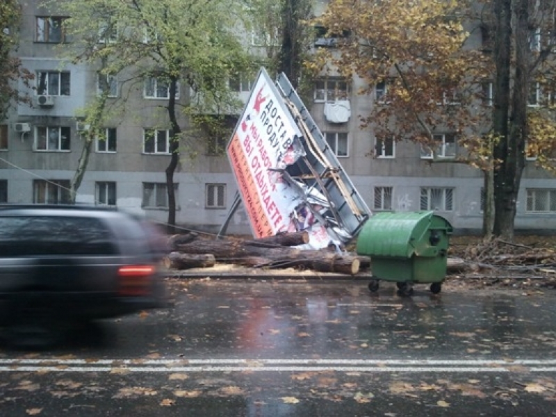 Одесские коммунальщики ликвидируют упавшие из-за непогоды деревья