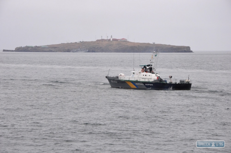 Одесские пограничники и ВМС усилили охрану острова Змеиный (фото)