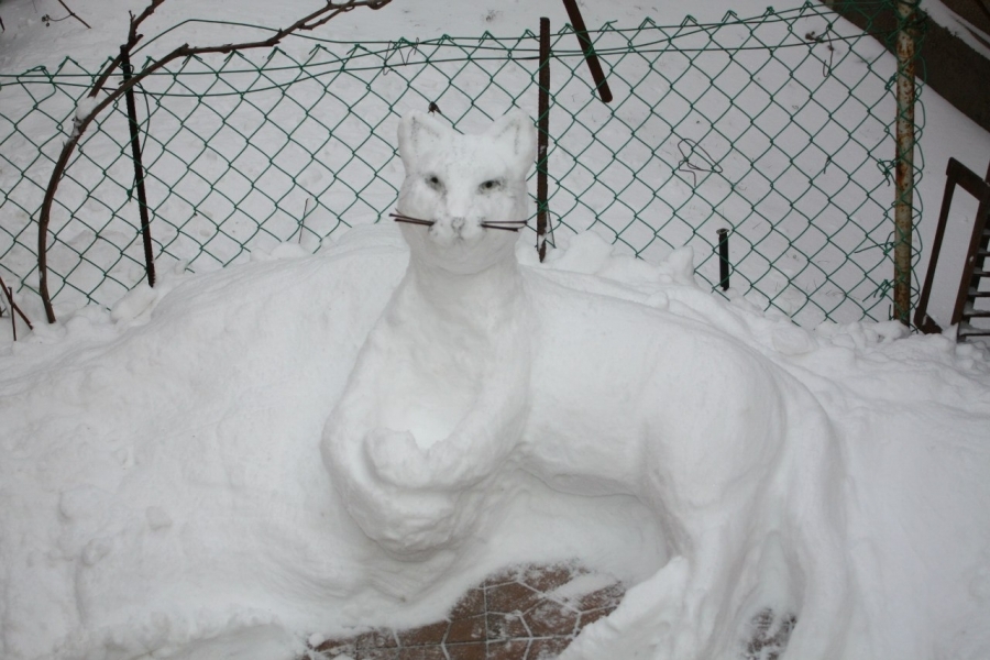 Слепить кота из снега. Скульптура кота из снега. Лепим кота из снега. Котенок из снега. Слепить котика из снега.