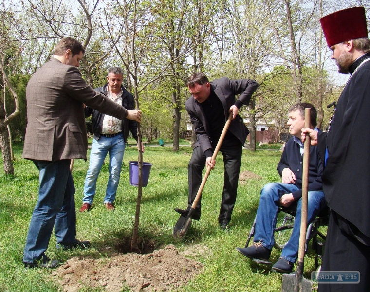 В центре Рени высадили 400 деревьев