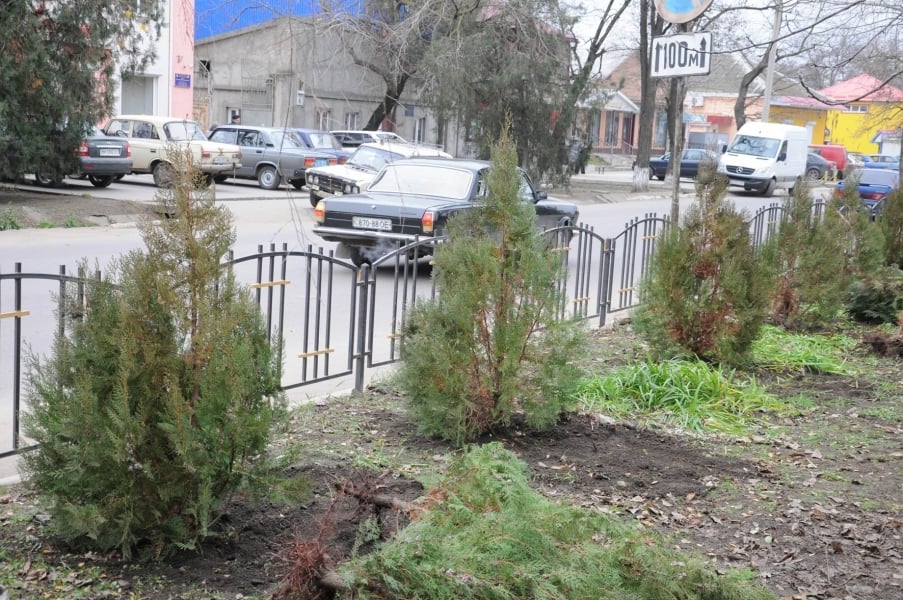 Жители Березовки на Одесщине решили самостоятельно привести город в порядок