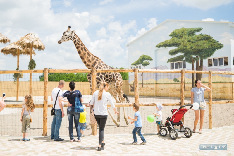 Частный зоопарк с редкими животными открылся в Одессе (фото)