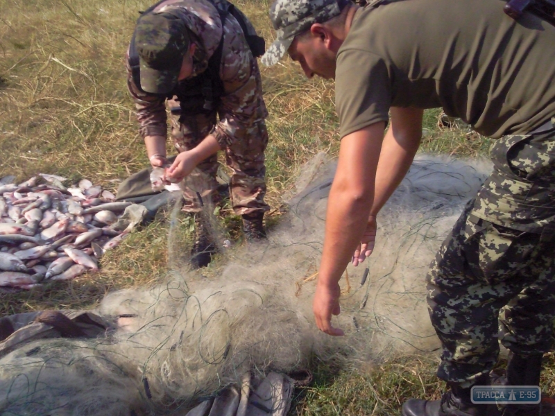 Пограничники поймали на озере Ялпуг в Одесской области браконьеров с большим уловом рыбы 